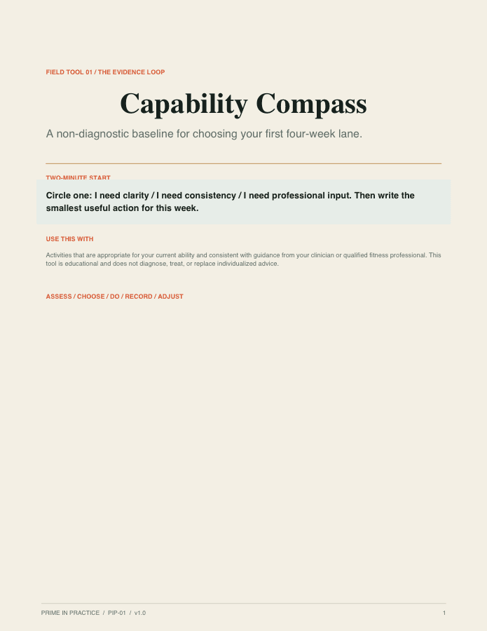 Cover preview of Capability Compass